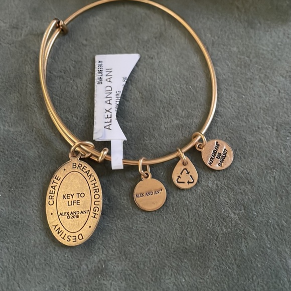 NEW in box Alex and Ani Key to Life Gold bracelet never worn - Picture 3 of 3